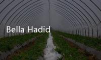 Bella Hadid超速成长为全球超模 嬉皮刘海复古造型登封面